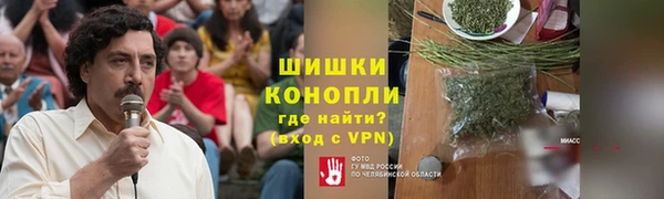 сатива Саяногорск