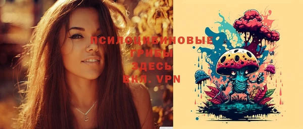 сатива Саяногорск