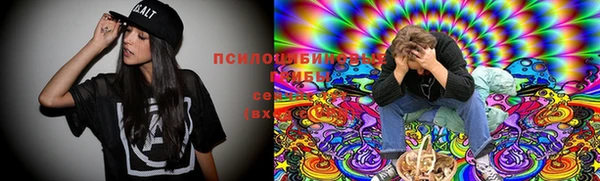 сатива Саяногорск