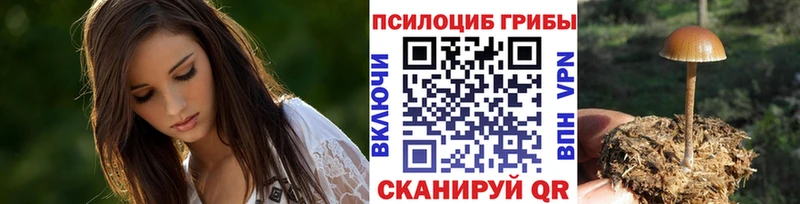 Псилоцибиновые грибы ЛСД  mega маркетплейс  Советск 