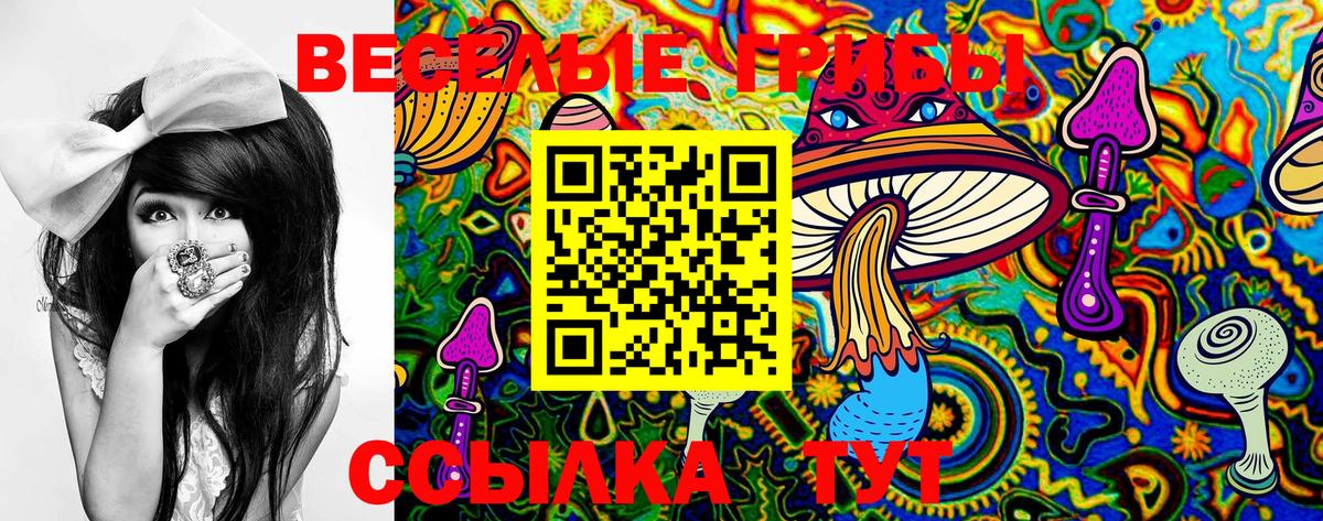 Галлюциногенные грибы GOLDEN TEACHER Советск
